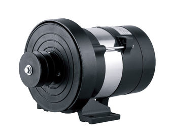 1.5KW AC DC Dynamo High Output Alternator High-Effency Key Shaft Alternator 19.05mm